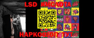 индика Кандалакша