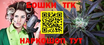 индика Кандалакша