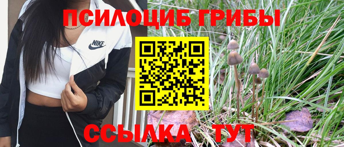Псилоцибиновые грибы Magic Shrooms  Псилоцибиновые грибы прущие грибы  Вход с VPN  Липецк 
