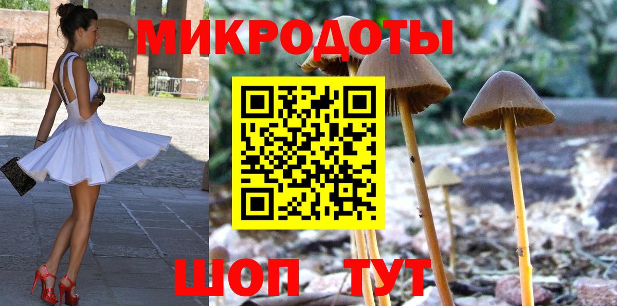 Галлюциногенные грибы Psilocybine cubensis Липецк